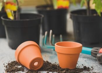 how casting decisions influence character portrayal