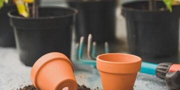 how casting decisions influence character portrayal