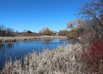 analysis of iconic opening scenes in cinema