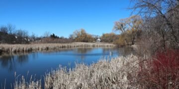 analysis of iconic opening scenes in cinema