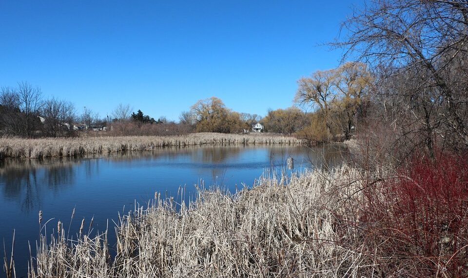 analysis of iconic opening scenes in cinema