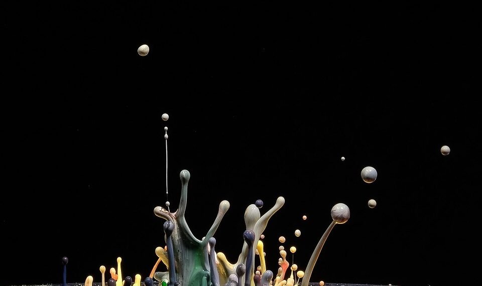 the art of stop motion filmmaking