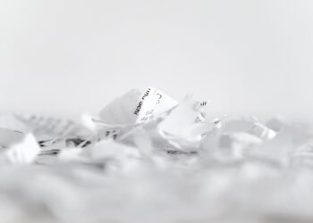 how public policy is developed and implemented