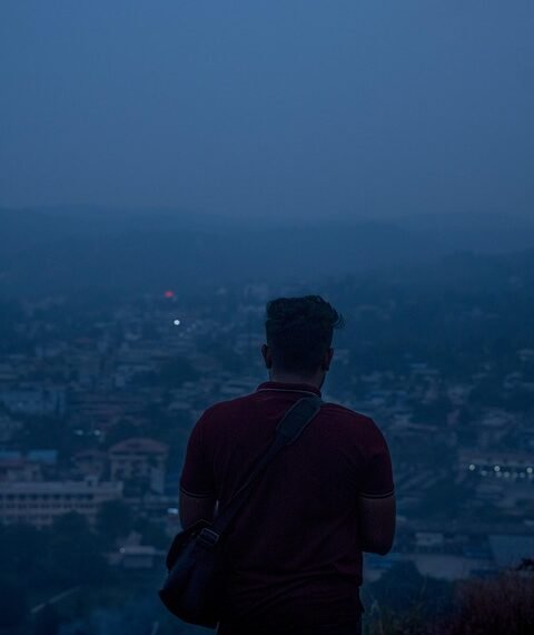 cinematic contributions of akira kurosawa