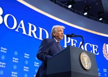 Is Trump's Peace Board a New Diplomatic Body or a Clique of Allies?