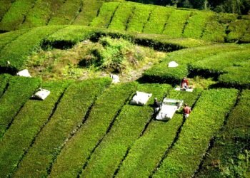 history of james cameron’s blockbuster filmmaking