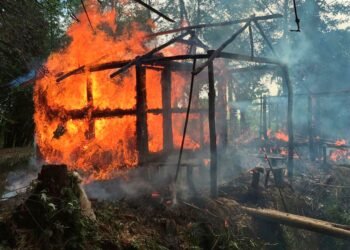 Landmark Rohingya Genocide Case: Key Facts on Violence and Victim Accounts