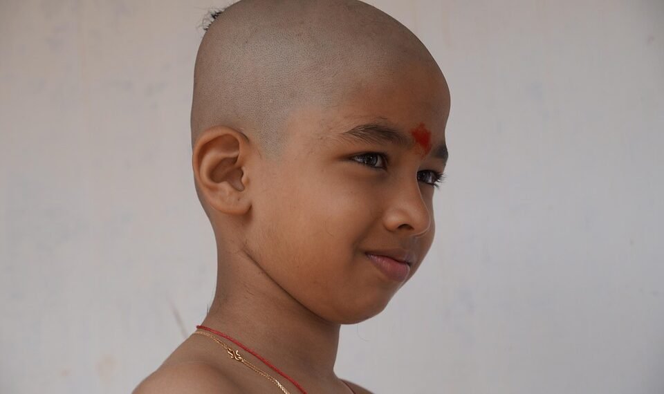 how the cardiovascular system functions