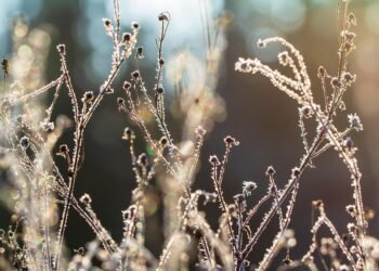 importance of lighting in film production