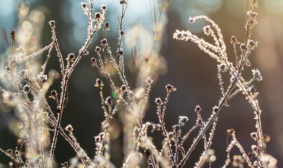 importance of lighting in film production