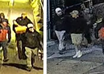 Man Arrested After Over 600 Items Stolen from UK Museum Collection