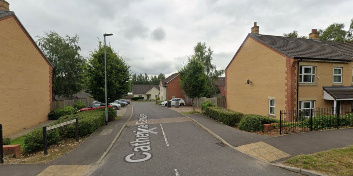 Man Charged with Murder Following Death of Woman in Street, Remanded in Custody