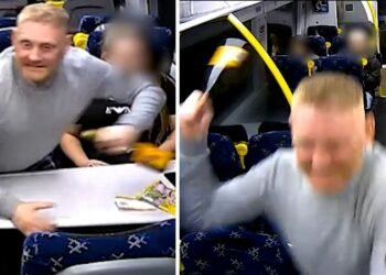 Man Sentenced for Violent Bottle Attack on Train Passengers in Scotland