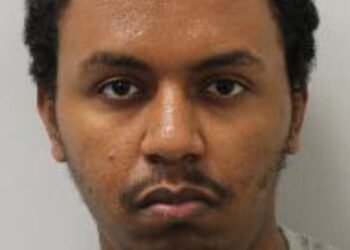 Man with Paranoid Schizophrenia Detained Indefinitely After Grandmother's Stabbing