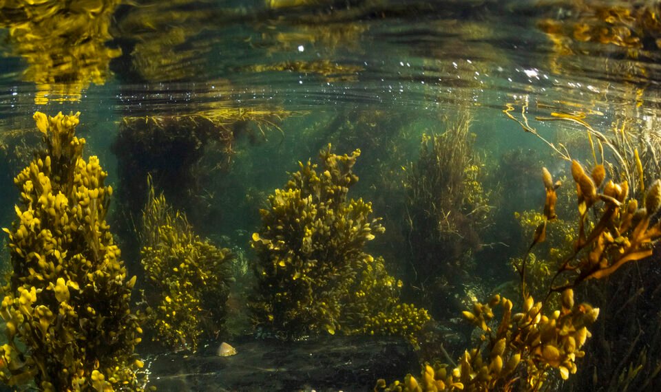 Marine Licensing Boosts Coastal Restoration, Defence, and Offshore Wind Projects