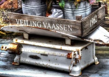 difference between mass and weight in physics