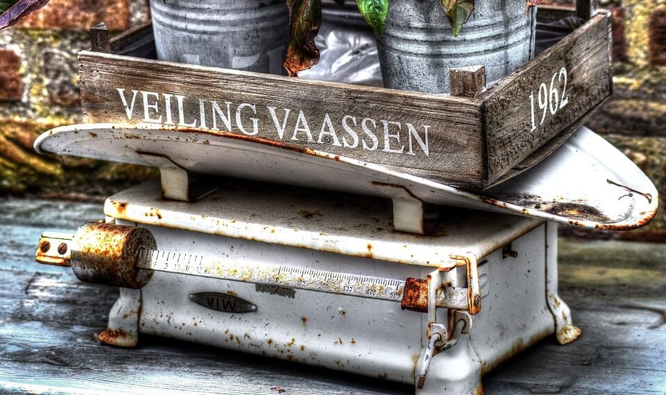 difference between mass and weight in physics