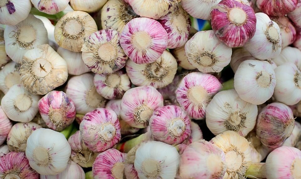 healthy eating habits and nutrition basics