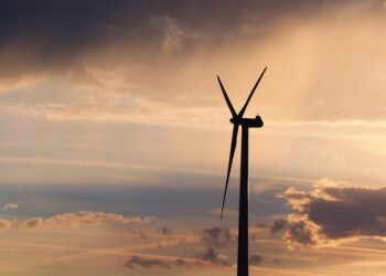 role of mitochondria in energy production