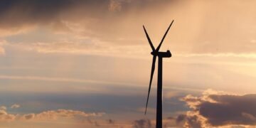 role of mitochondria in energy production