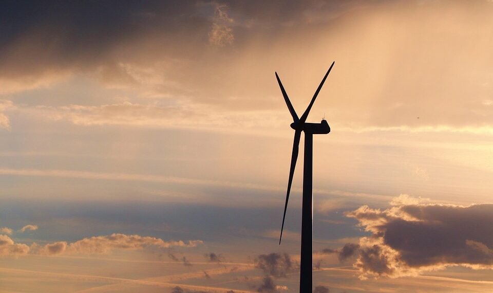 role of mitochondria in energy production