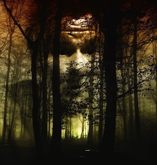 how horror films evolved across decades