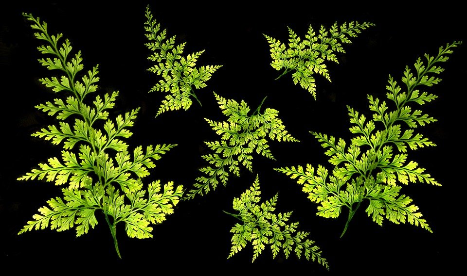 introduction to soviet montage theory