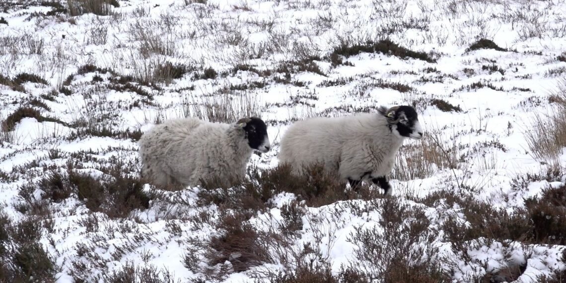 More Rain, Snow and Ice Expected Across Britain This Weekend