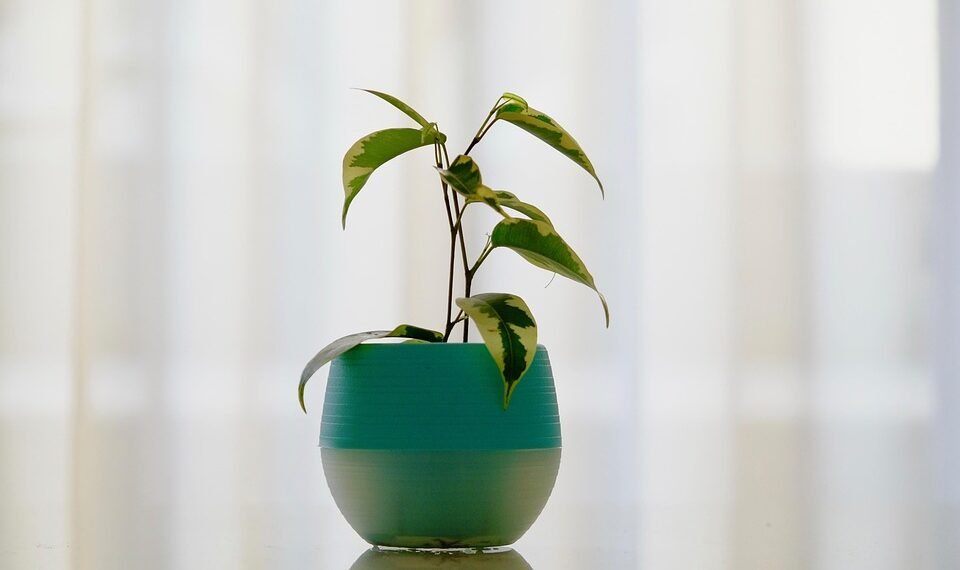 how silent films shaped modern storytelling