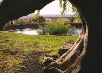 how documentaries influence public perception