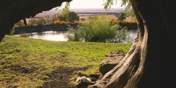 how documentaries influence public perception