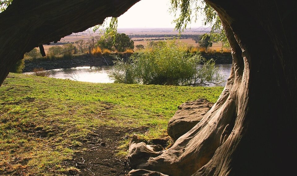 how documentaries influence public perception