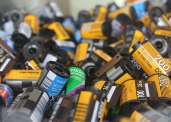 role of film critics in shaping cinema culture