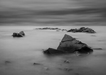 origin of film noir and stylistic elements