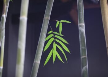 development of surround sound in movies