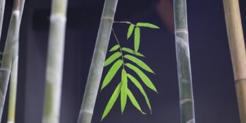 development of surround sound in movies