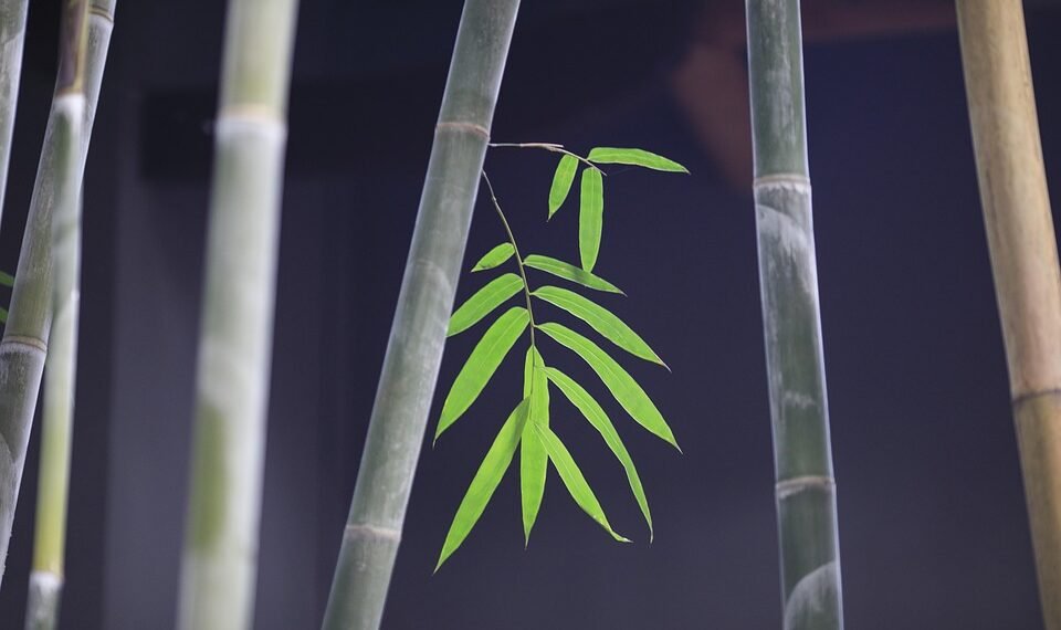 development of surround sound in movies