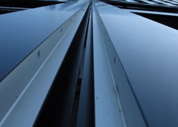 rise of streaming platforms in film distribution