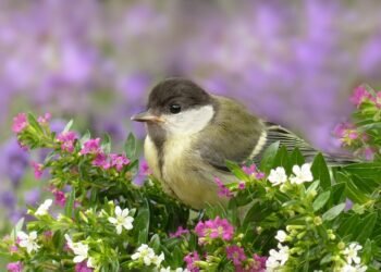 role of producers in shaping major films