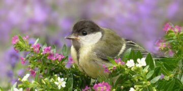 role of producers in shaping major films