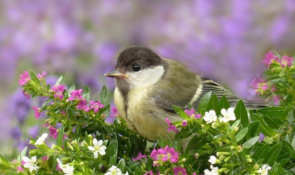 role of producers in shaping major films