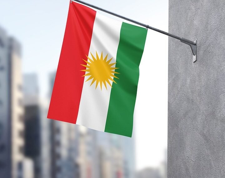 how political parties function in a democracy