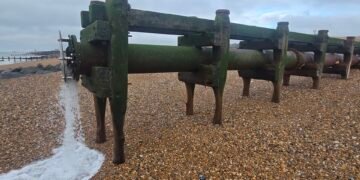 Restoration Efforts to Revive Vital Habitat for Widewater Lagoon Wildlife