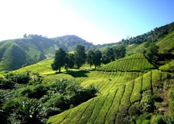 history of james cameron’s blockbuster filmmaking