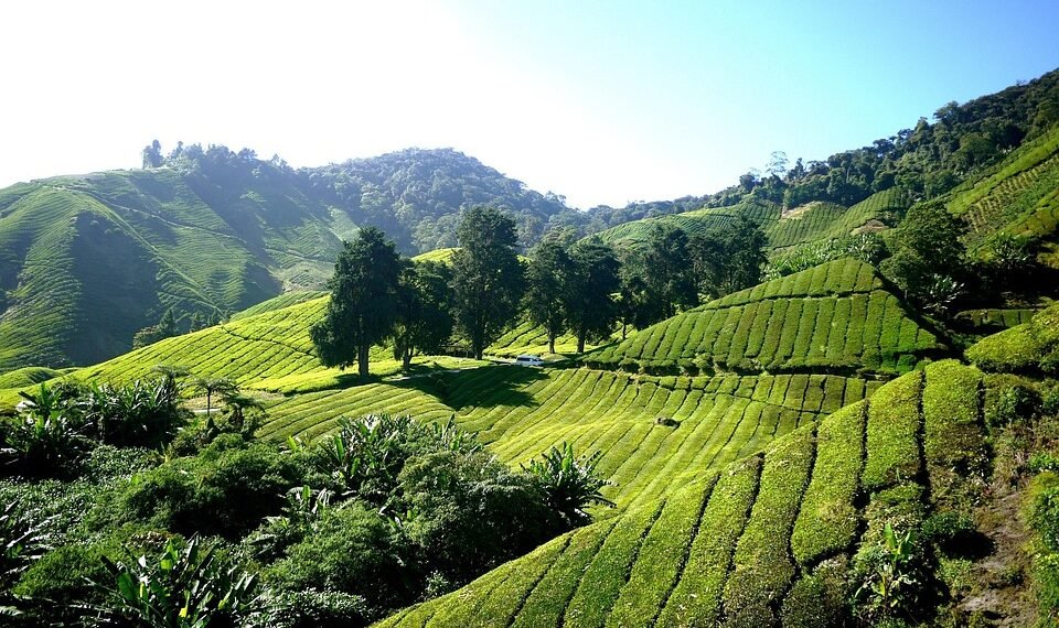 history of james cameron’s blockbuster filmmaking