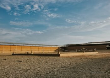 history of disney animation milestones