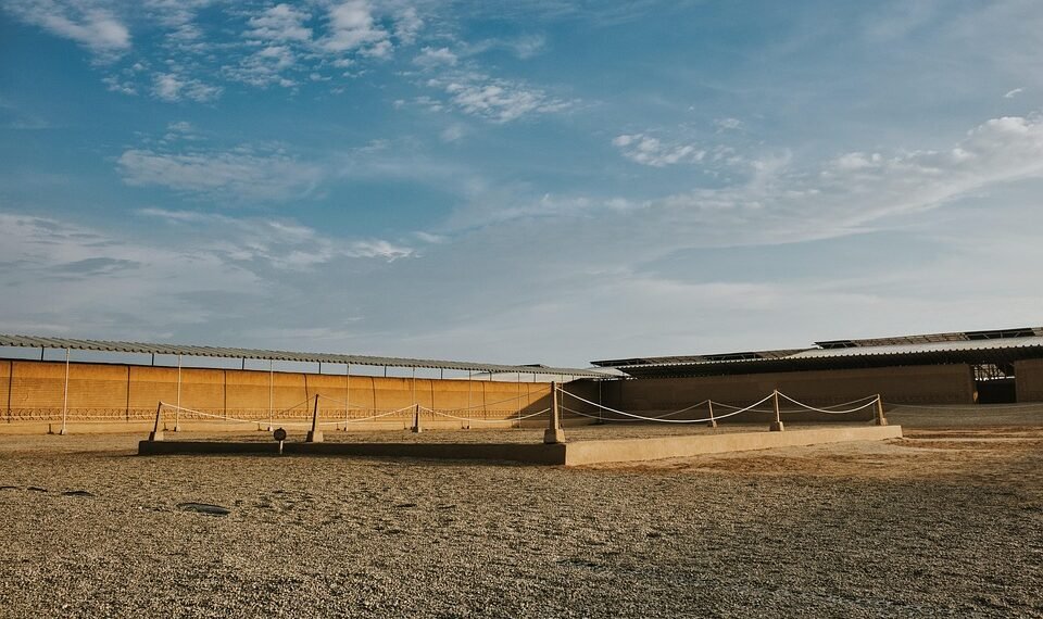 history of disney animation milestones