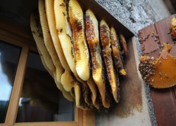 behind the scenes of practical effects in classics