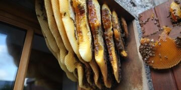 behind the scenes of practical effects in classics