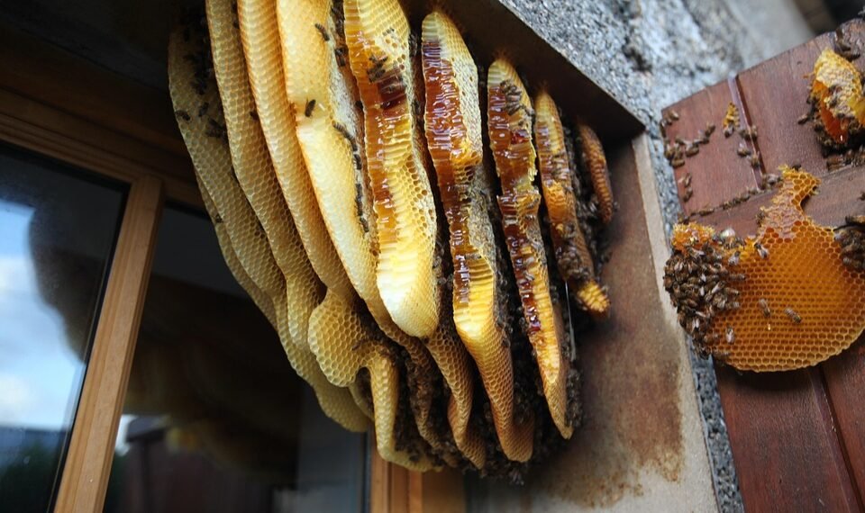 behind the scenes of practical effects in classics